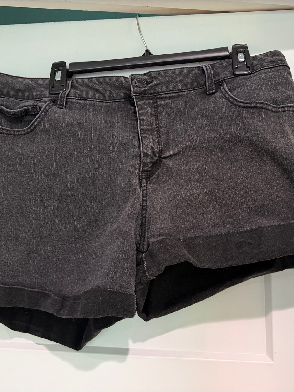TIME AND TRU Women’s Black Denim Shorts-Size 18